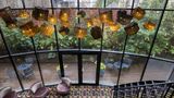 The Augustin Hotel Restaurant