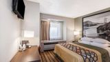 <b>Super 8 Schenectady Room</b>. Images powered by <a href="https://iceportal.shijigroup.com/" title="IcePortal" target="_blank">IcePortal</a>.