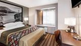 <b>Super 8 Schenectady Room</b>. Images powered by <a href="https://iceportal.shijigroup.com/" title="IcePortal" target="_blank">IcePortal</a>.