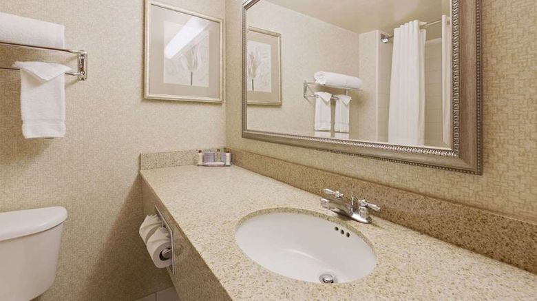 <b>Wingate by Wyndham Charlotte Arpt I-85 Room</b>. Images powered by <a href="https://iceportal.shijigroup.com/" title="IcePortal" target="_blank">IcePortal</a>.