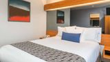 Microtel Inn & Suites Springfield Room