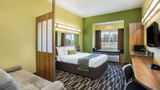 Microtel Inn & Suites by Wyndham Opelika Room