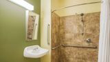 Microtel Inn & Suites by Wyndham Opelika Room