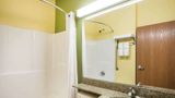 Microtel Inn & Suites by Wyndham Opelika Room