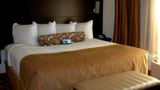 <b>Baymont Inn & Suites Hobbs Room</b>. Images powered by <a href="https://iceportal.shijigroup.com/" title="IcePortal" target="_blank">IcePortal</a>.