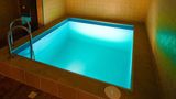 Park Hotel Pool