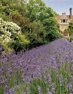 Belmond Le Manoir Aux Quat Saisons
