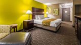 Best Western Auburn/Opelika Inn Room