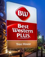 Best Western Plus Tree House