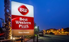 Best Western Plus Tree House