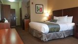 <b>Best Western Plus Airport Inn & Suites Room</b>. Images powered by <a href="https://iceportal.shijigroup.com/" title="IcePortal" target="_blank">IcePortal</a>.