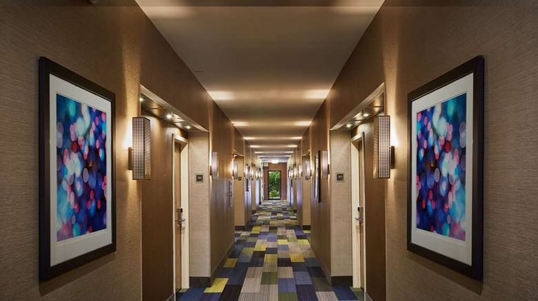 <b>Best Western Plus Lewisville/Coppell Other</b>. Images powered by <a href="https://iceportal.shijigroup.com/" title="IcePortal" target="_blank">IcePortal</a>.
