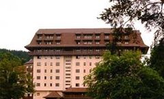 Best Western Bucovina-Club De Munte