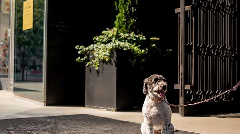 <b>Park Hyatt New York Exterior</b>. Images powered by <a href=https://www.travelagewest.com/Hotels/New-York-NY/