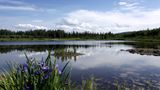 <b>Bear Lodge Recreation</b>. Images powered by <a href="https://iceportal.shijigroup.com/" title="IcePortal" target="_blank">IcePortal</a>.