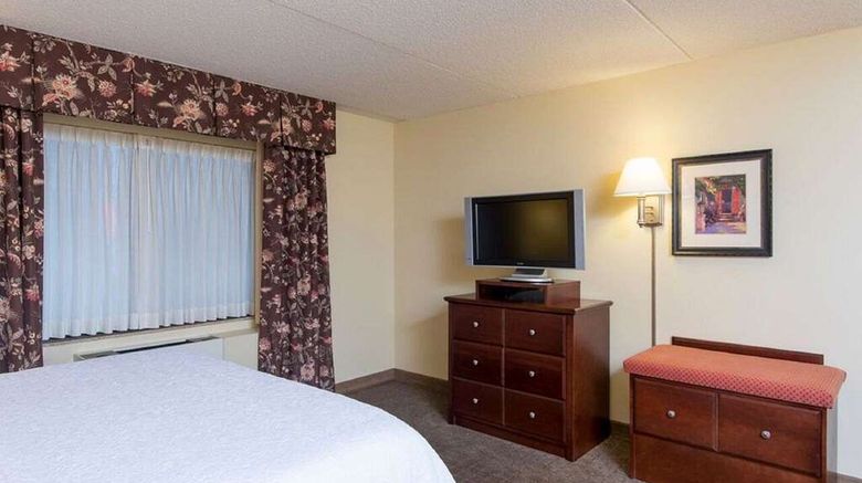 <b>Hampton Inn Schenectady Room</b>. Images powered by <a href="https://iceportal.shijigroup.com/" title="IcePortal" target="_blank">IcePortal</a>.