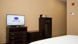Hampton Inn & Suites Rosenberg Other