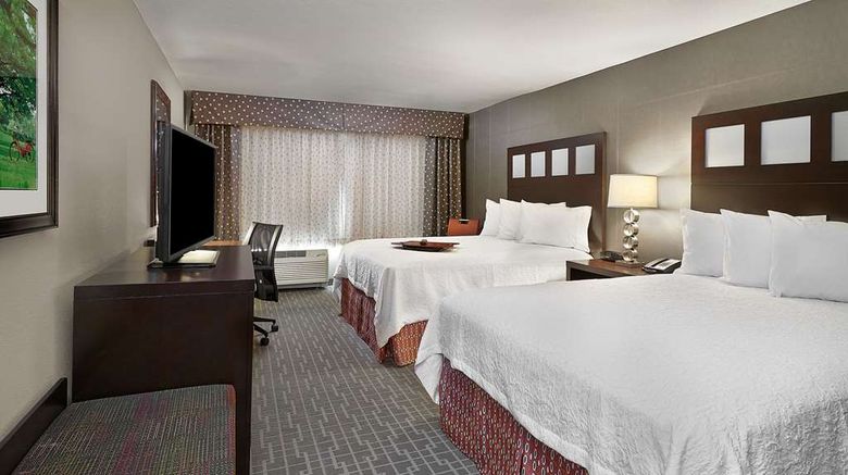 <b>Hampton Calgary Airport North Room</b>. Images powered by <a href="https://iceportal.shijigroup.com/" title="IcePortal" target="_blank">IcePortal</a>.