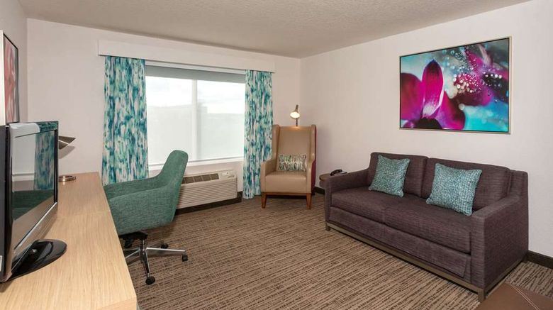 <b>Hilton Garden Inn Daytona Beach Airport Room</b>. Images powered by <a href="https://iceportal.shijigroup.com/" title="IcePortal" target="_blank">IcePortal</a>.