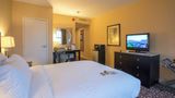 Doubletree Suites by Hilton Detroit Down Room