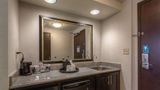Hampton Inn & Suites Detroit-Airport/Rom Other