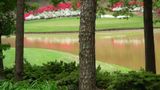 Embassy Suites Greenville Golf Resort Golf