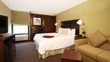 <b>Hampton Inn Indianapolis-NE/Castleton Room</b>. Images powered by <a href="https://iceportal.shijigroup.com/" title="IcePortal" target="_blank">IcePortal</a>.