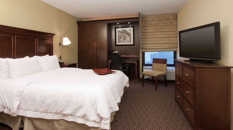 <b>Hampton Inn Indianapolis-NE/Castleton Room</b>. Images powered by <a href="https://iceportal.shijigroup.com/" title="IcePortal" target="_blank">IcePortal</a>.