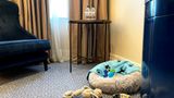 The Waldorf Hilton, London Room