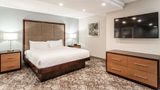 DoubleTree by Hilton Hotel Memphis Other