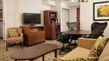Hilton Garden Inn Orlando Airport Other