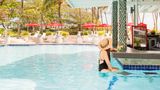 The Condado Plaza Hilton Pool