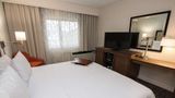 Hampton Inn Albany-Western Ave/Universit Room