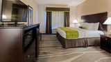 Best Western Plus Denver City Hotel/Stes Room