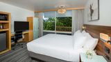 <b>DoubleTree by Hilton The Grand Naniloa Room</b>. Images powered by <a href="https://iceportal.shijigroup.com/" title="IcePortal" target="_blank">IcePortal</a>.