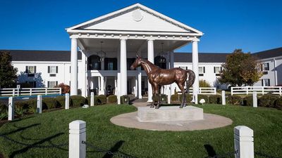 Campbell House Lexington, Curio Coll