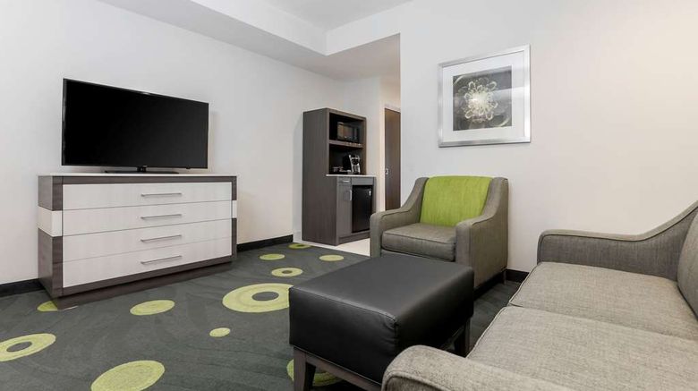 <b>Hilton Garden Inn Ardmore Room</b>. Images powered by <a href="https://iceportal.shijigroup.com/" title="IcePortal" target="_blank">IcePortal</a>.