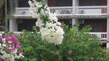 Portsmouth Beach Hotel Exterior