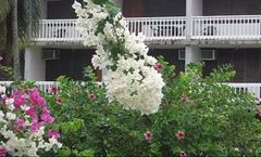 Portsmouth Beach Hotel