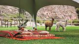 Rio Sagrado, A Belmond Hotel Other