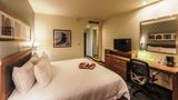 Hampton Inn & Suites by Hilton Salamanca Room