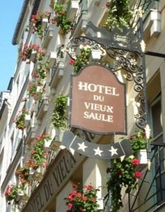 Hotel du Vieux Saule