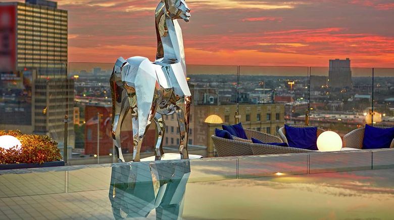 <b>The Statler Dallas, Curio Collection Other</b>. Images powered by <a href="https://iceportal.shijigroup.com/" title="IcePortal" target="_blank">IcePortal</a>.