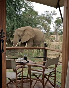 Ashnil Samburu Camp
