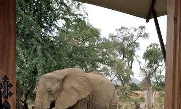 Ashnil Samburu Camp