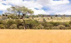 Melia Serengeti lodge