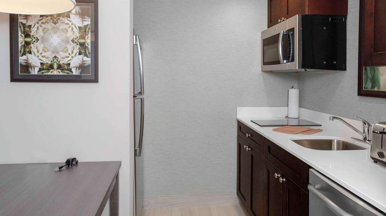 <b>Homewood Suites Lansing/Eastwood Other</b>. Images powered by <a href="https://iceportal.shijigroup.com/" title="IcePortal" target="_blank">IcePortal</a>.