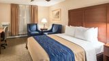 Comfort Inn Downtown - Ship Creek Room