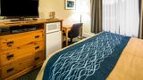 <b>Quality Inn Room</b>. Images powered by <a href="https://iceportal.shijigroup.com/" title="IcePortal" target="_blank">IcePortal</a>.