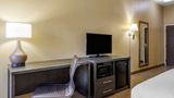 Comfort Inn Opelika - Auburn Room